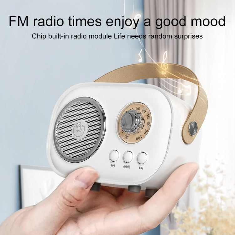 C20 Plus Karaoke Bluetooth Speaker with Mic – Portable & Multifunctional