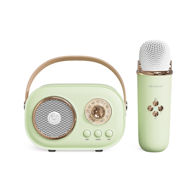 Karaoke Bluetooth Speaker with Microphone, TF Card & FM Radio – C20 Plus (Green)