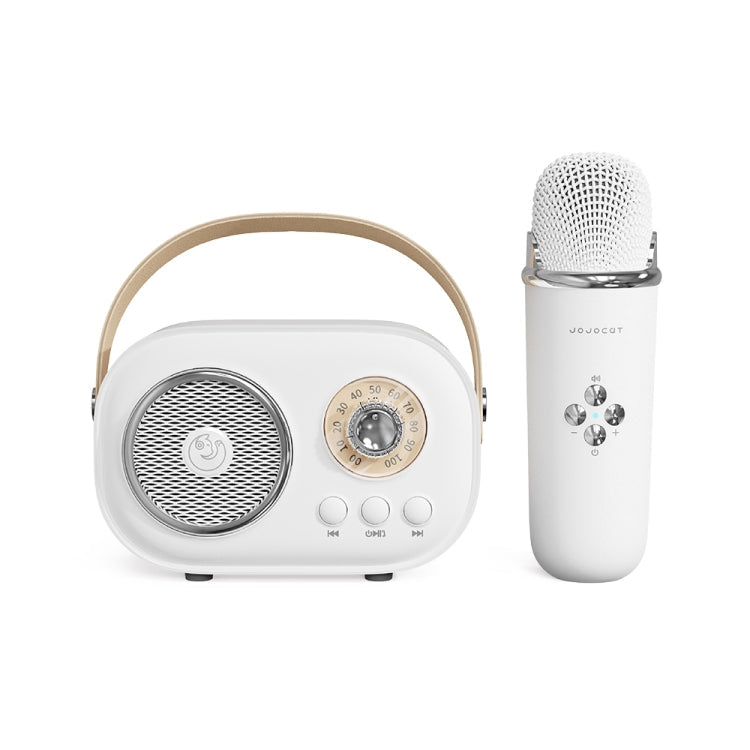 C20 Plus Karaoke Bluetooth Speaker with Mic – Portable & Multifunctional