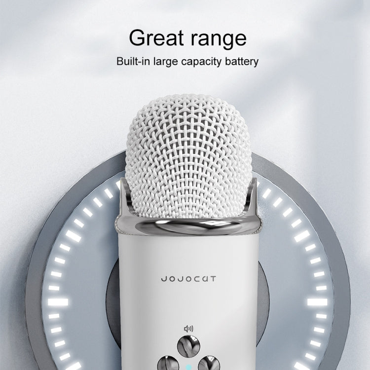 Karaoke Bluetooth Speaker with Microphone, TF Card & FM Radio – C20 Plus (Green)