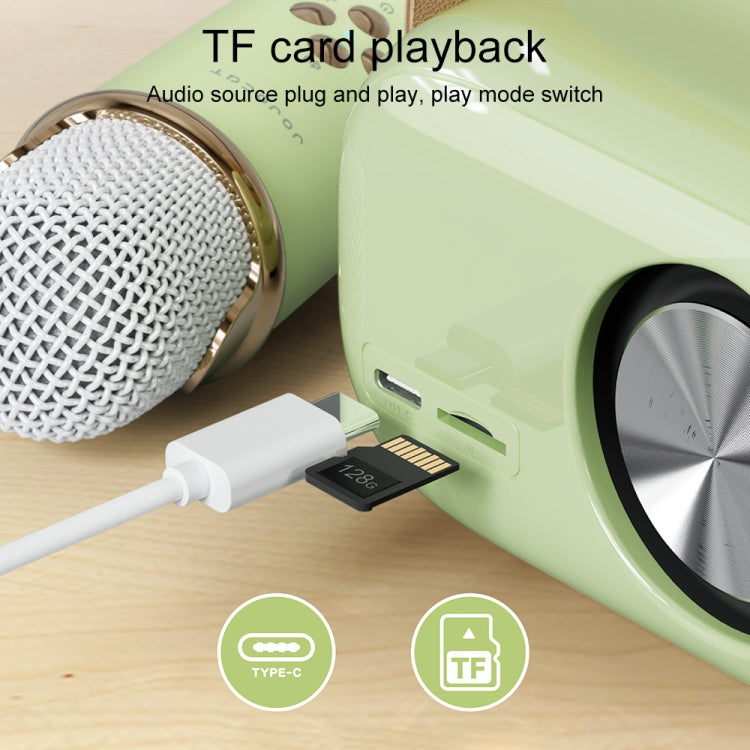 Karaoke Bluetooth Speaker with Microphone, TF Card & FM Radio – C20 Plus (Green)
