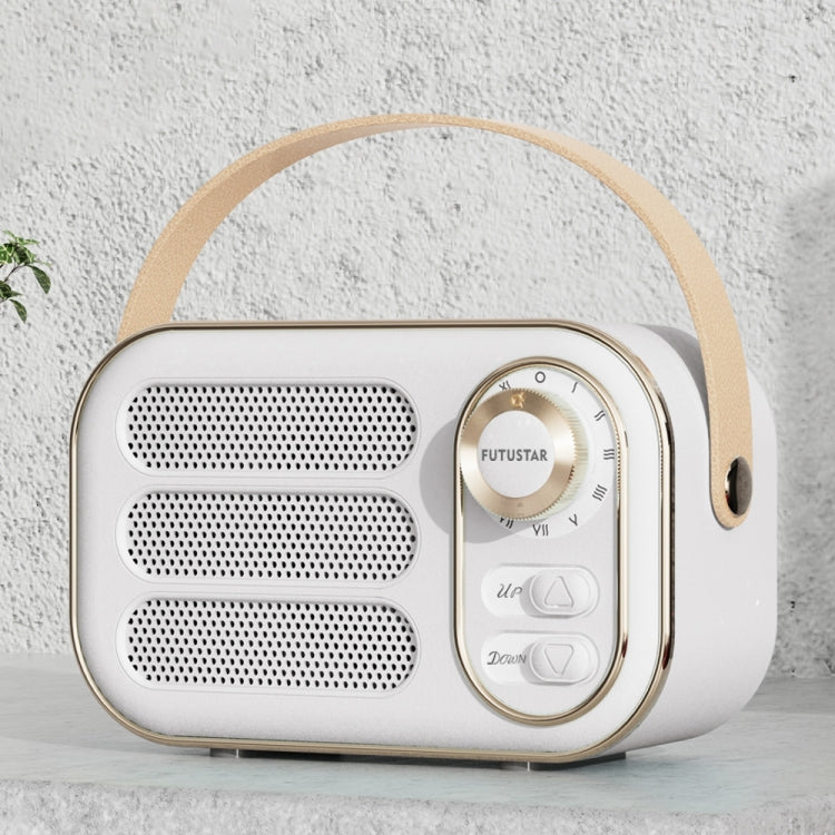 DW13 compact portable Bluetooth speaker