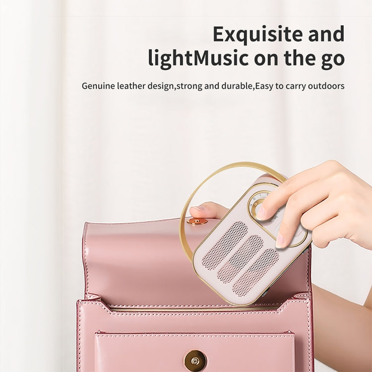DW13 Portable HiFi Mini Retro Wireless Bluetooth Speaker – Compact Vintage Style Audio