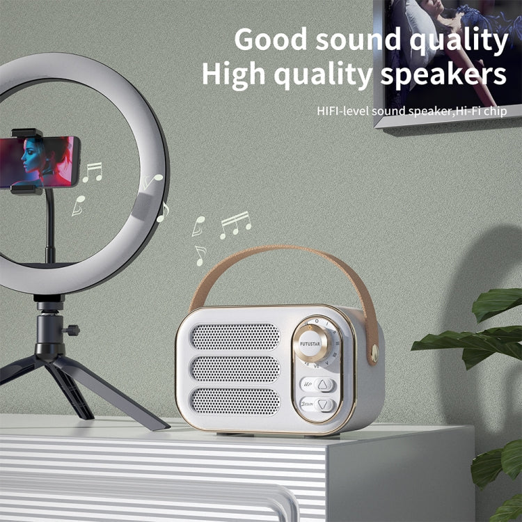 DW13 Portable HiFi Mini Retro Wireless Bluetooth Speaker – Compact Vintage Style Audio